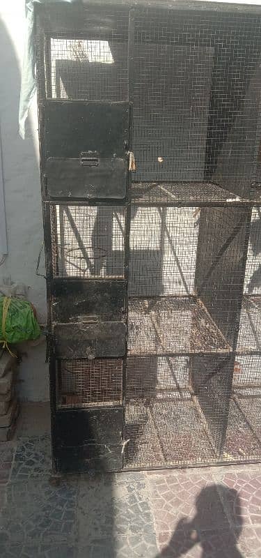 Parrot cage 3