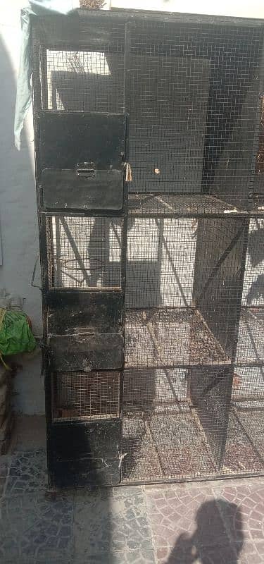 Parrot cage 5