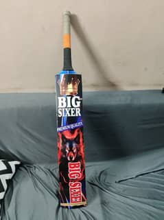 Cricket Bat