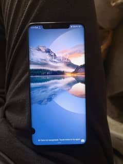 huawei mate 20 pro pta exchange possible