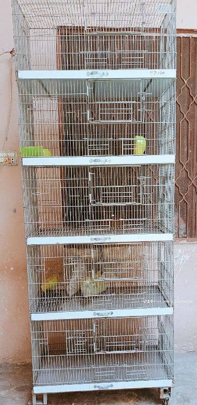 Bird cage 0