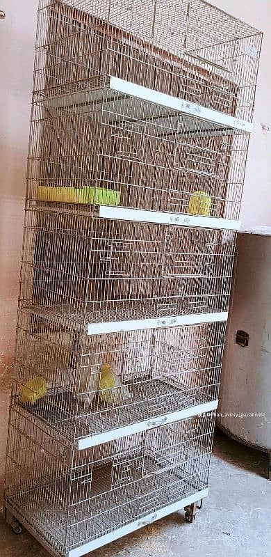 Bird cage 1