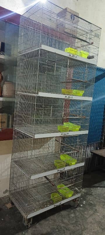 Bird cage 4