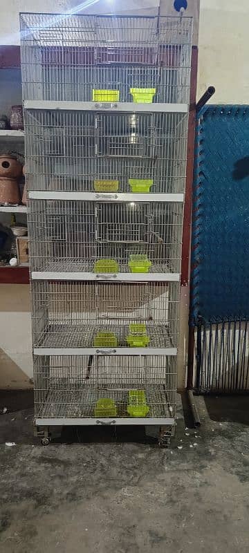 Bird cage 5