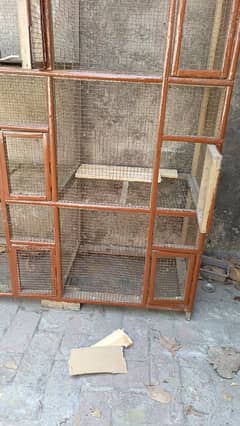 pigeon cage