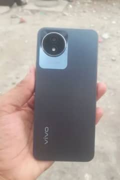 vivo