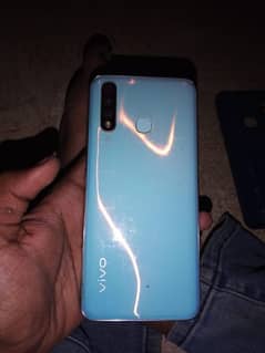 vivo