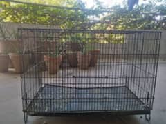 Cage for sale 0