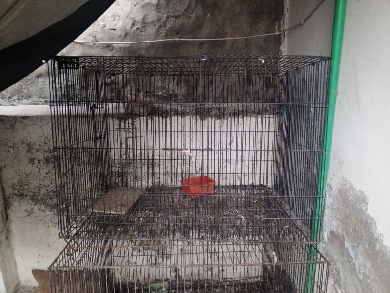 Cage for sale 1