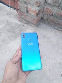 VIVO