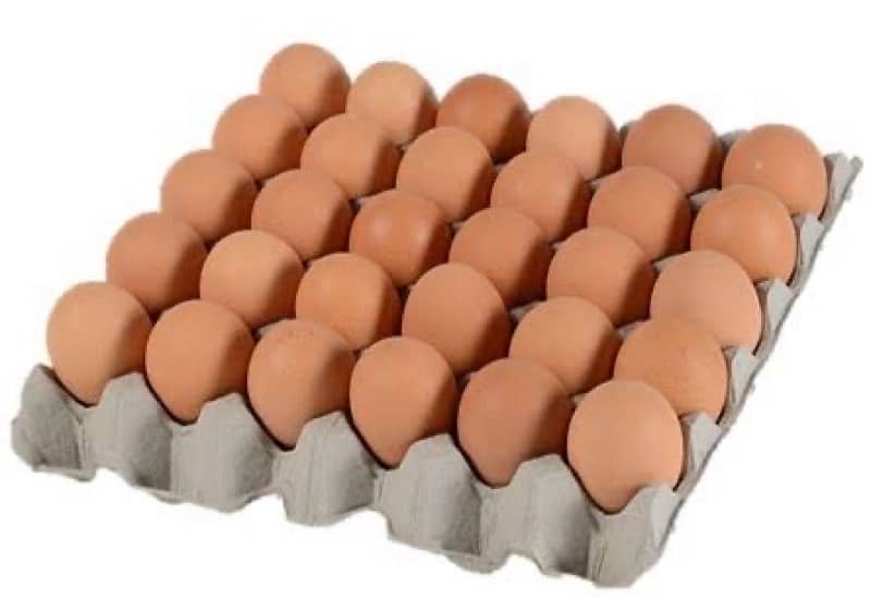 Hen Desi Eggs 0