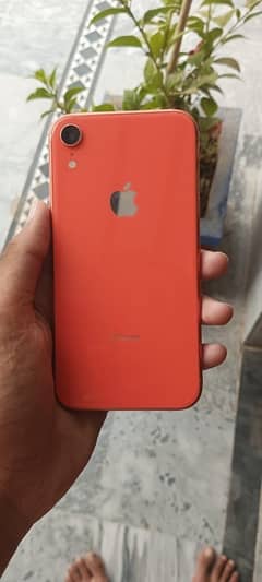 IPHONE XR NON PTA JV 64GB 10 / 10 CONFITION BATTERY HEALTH 82 0