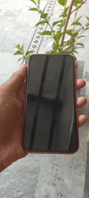 IPHONE XR NON PTA JV 64GB 10 / 10 CONFITION BATTERY HEALTH 82 1