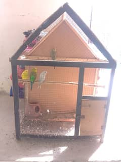 Two pairs of Australian parrots and with cage