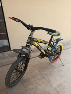 Cycle Thunder 16 Size