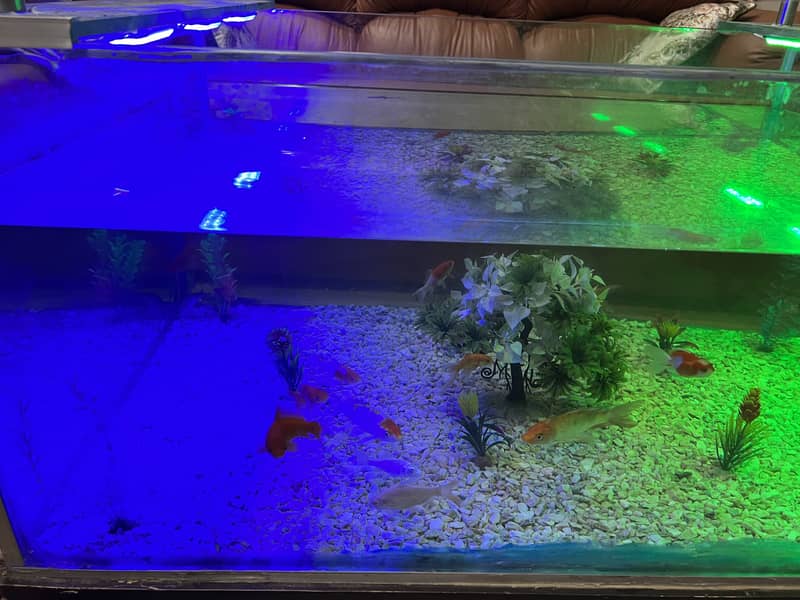 Fishing aquarium table +coffee table 3