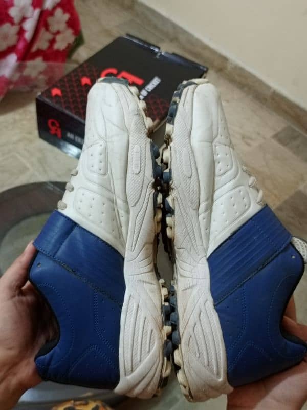 CA 70 PRO CRICKET SHOES 2