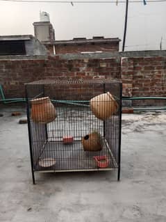 pinjra cage for sale brand New condition urgent sale Discount 2ft* 2ft