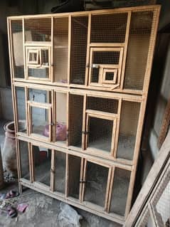 6 peace perrot cage