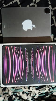 ipad pro 11 M2 4th generation 256gb