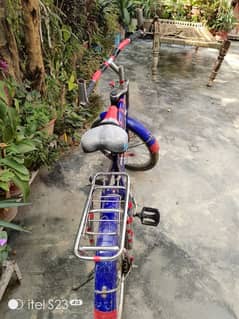 20 inch biycycle