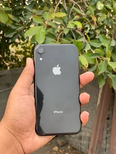 iPhone XR