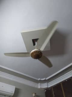 6 Ceiling Fans (4 royal fans with 1 fancy) and (2 SK fan)