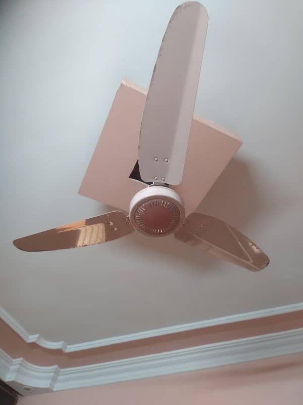 6 Ceiling Fans (4 royal fans with 1 fancy) and (2 SK fan) 1