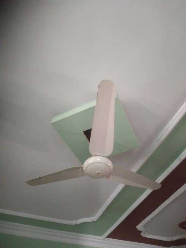 6 Ceiling Fans (4 royal fans with 1 fancy) and (2 SK fan) 2