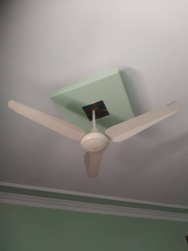 6 Ceiling Fans (4 royal fans with 1 fancy) and (2 SK fan) 3