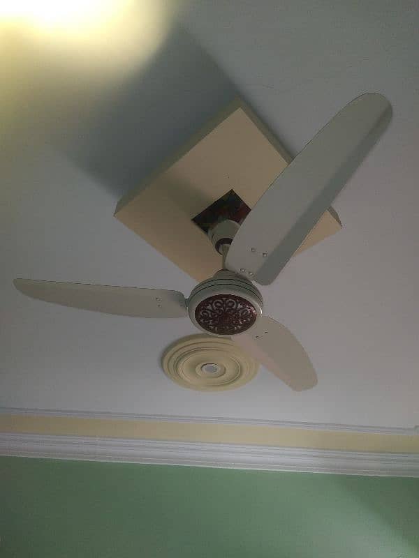 6 Ceiling Fans (4 royal fans with 1 fancy) and (2 SK fan) 5