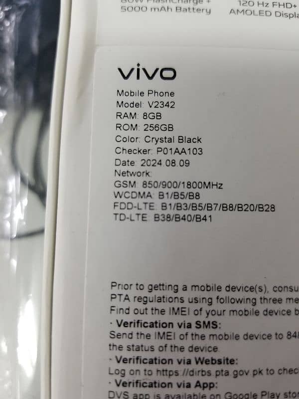 VIVO Y100 2