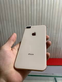 8 plus PTA