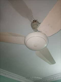 Royal Fan AC/DC Hybrid Smart Series