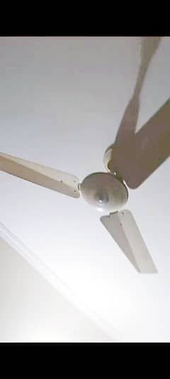 03 ceiling fan Pak fan 75 watt good condition