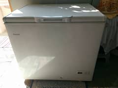 Haier Deep Freezer Single Door