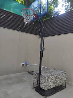 Lifetime Basketball pole