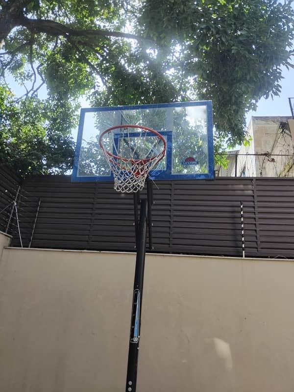 Lifetime Basketball pole 2