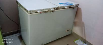 Dalwance Double Deep Freezer