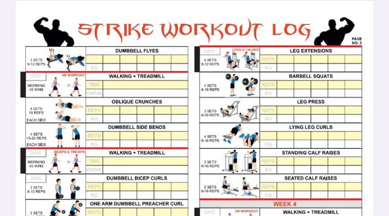 COMPLETE 12 WEEK WORKOUT PLAN, TO REDUCE WEIGHT AND INCREASE MUSCLE 1