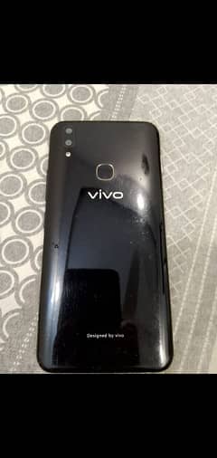 VIVO