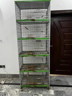 Cage / Pinjra / Birds / hen cage / birds cage for sale