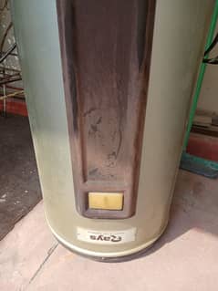 Rays Electric Water Geyser