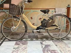 electric bicycle