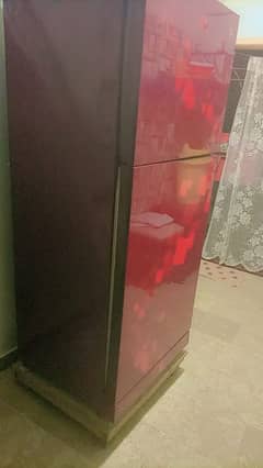 PEL Glass door Large fridge available