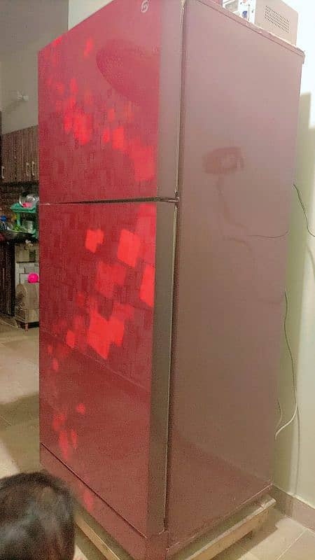 PEL Glass door Large fridge available 1