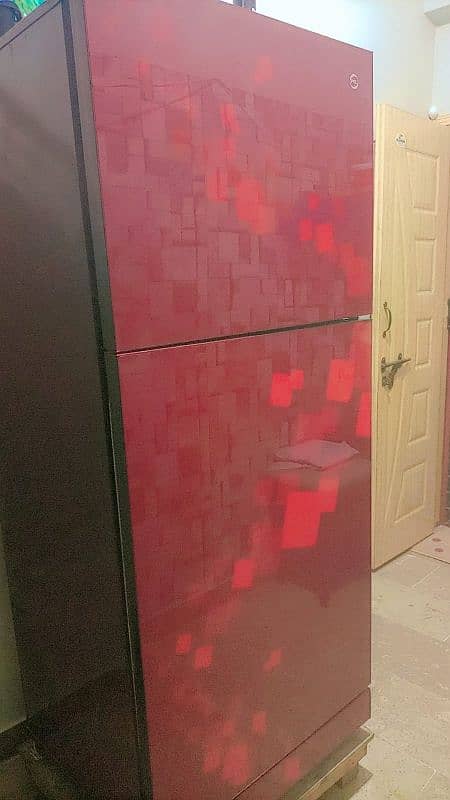 PEL Glass door Large fridge available 2