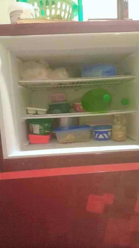 PEL Glass door Large fridge available 3