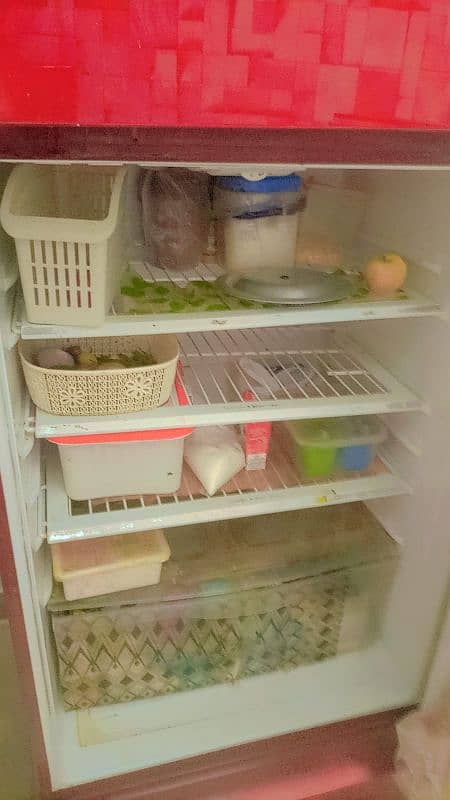 PEL Glass door Large fridge available 4