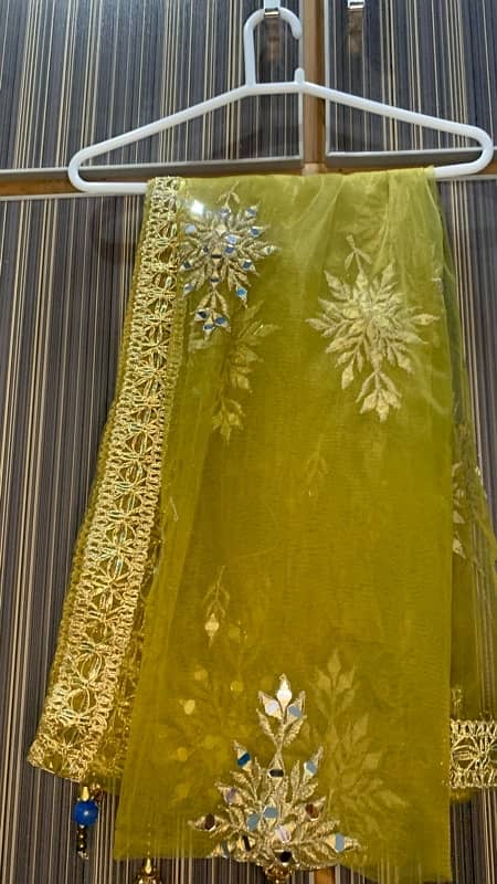 Mehndi colour lehnga choli 1